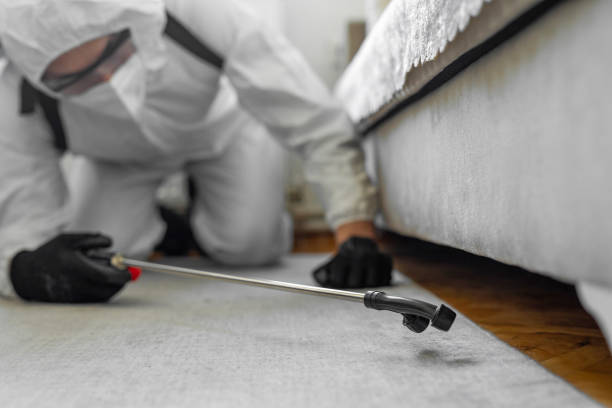 Professional Pest Control technician working in Primera, TX