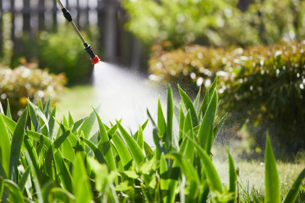 24/7 Emergency Fumigation Services experts in Primera, TX